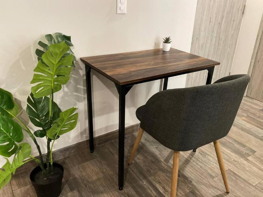 멕시코 시 Corazon De Condesa 3 Departamentos - 200Mbps Wifi, Roof, Gym 아파트 호텔 외부 사진